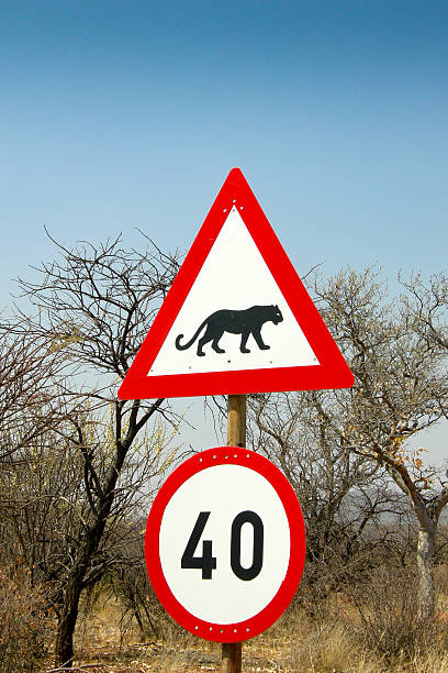   Safari Travel Safety Tips 2026–2027 